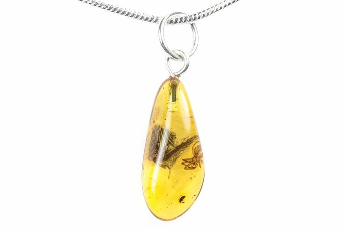 Polished Baltic Amber Pendant (Necklace) - Contains Spider! #288839